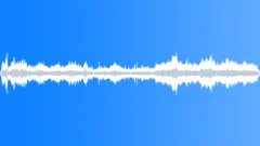 POLAND, MARKET Sound Effect