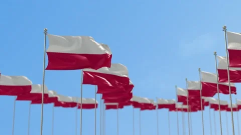 Poland Row Of Flags Animation Video stock 148782480