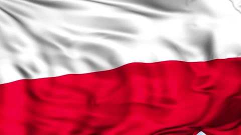 Poland Waving Flag Background Stock Footage 204132230