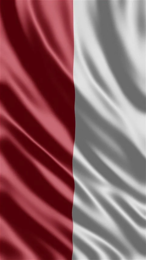Poland waving flag Stock Footage 288004482