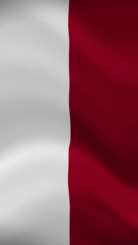 Poland Waving Flag in Vertical Orientation – Realistic Loop Animation Stock Footage 294947821