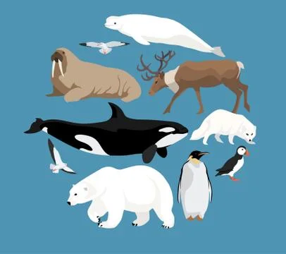 Polar animals collection Stock Illustration
