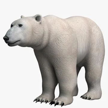 polar bear family eine Eisbären-Familie 3D-Ansichtskarte 