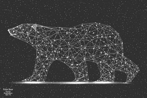 Polar bear is an abstract image of a polygonal triangle model.Starry sky. Low Illustrazione stock