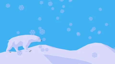 Polar bear Stock Footage 993657