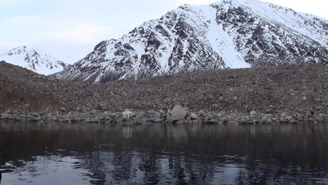 Polar bear go on rocky shore in desolate ice of tundra in Svalbard. Stock Footage