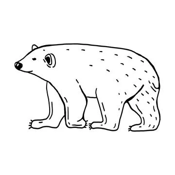 Polar bear hand drawn vector illustration set Stock Illustration