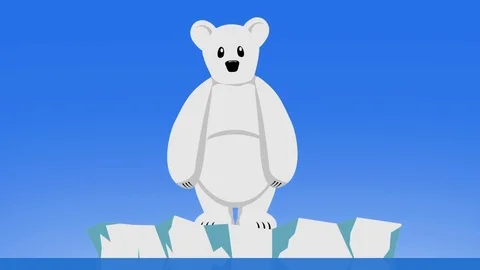 Polar bear on ice Video stock 78091908