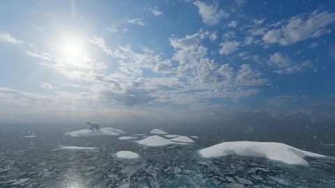 Polar bear on an ice patch, snowy weather and sun on top Vidéo 125799848