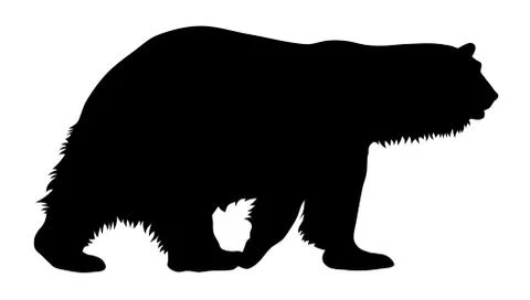 Polar bear Stock Illustration