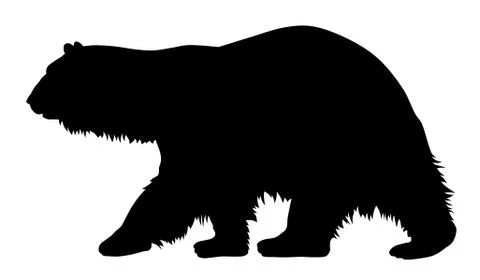Polar bear Stock Illustration