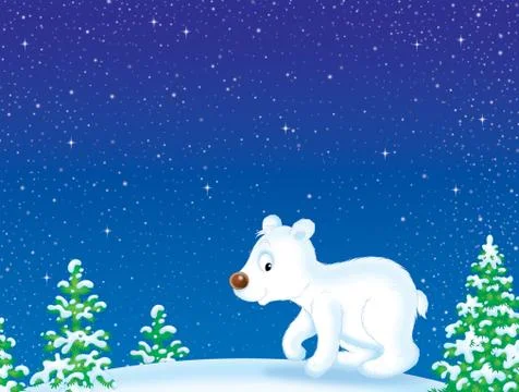 Polar Bear Stock Illustration