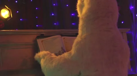 Polar Bear At A Piano Stock Footage 50242063