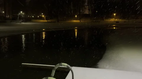 Polar bear pier Video stock 167410352