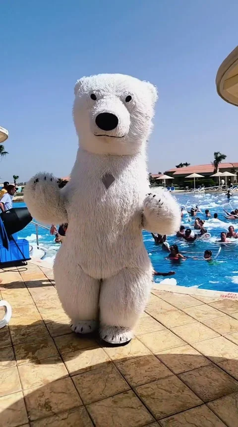 Polar bear by the pool on a sunny day Stock Footage 311079659