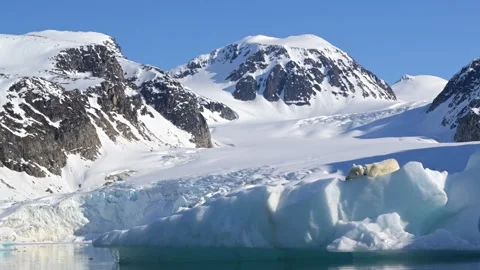 Polar Bear resting in the harsh environment of the Arctic circle 库存影片 310954657