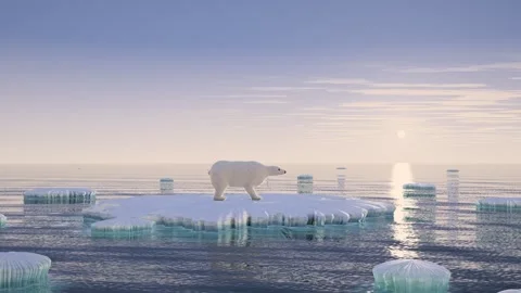 Polar Bear on Shrinking Melting Ice Floe at Arctic Sunset Animation 库存影片 347457399