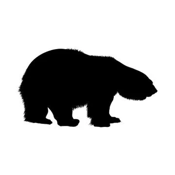 Polar Bear Silhouette Stock Illustration