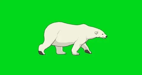 Polar bear slow walking cycle 2d hand drawn animation Stock Footage