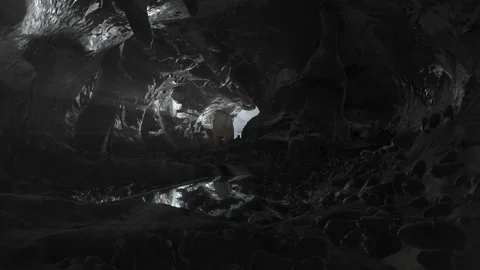 Polar bear sniffing in dark cave close to small water pond Stock Footage 265972468