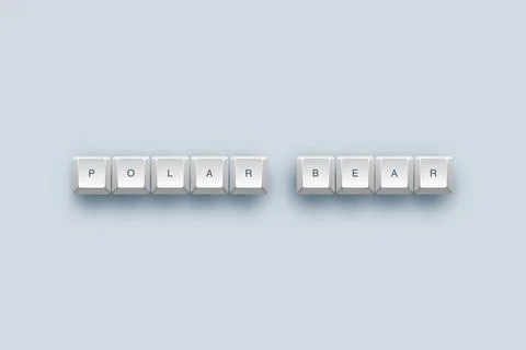 Polar bear text on a 3d keyboard button with shadow concept series Stock Illustration