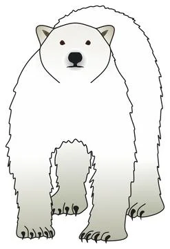 Polar bear vector drawing on isolated background standing cartoon mammal animal Stock Illustration