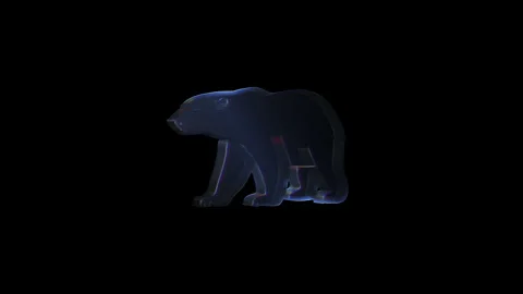 Polar bear walking animation loop on black background Stock Footage 317680139