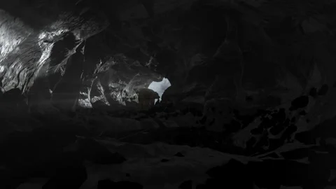 Polar bear walking in Dark cave Stock Footage 265972061