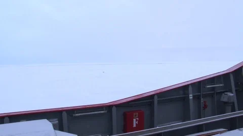 Polar bear walking on ice Stock Footage 99590255