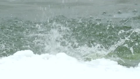 Polar bear in winter landscape at snowfall, swimming in cold water across broken Stock Footage