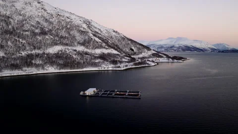Polar night arcing aerial view of aquiculture cod farm in snowy fjord 動画素材 334058665