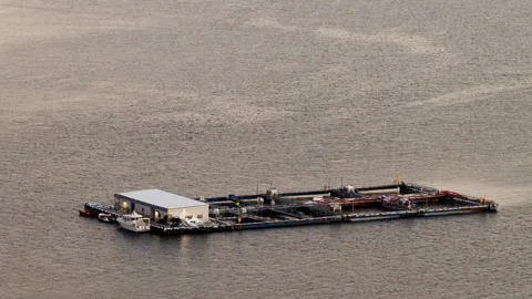 Polar night drone view of cod farm mariculture facility in Ringvassoya fjord 動画素材 334344682