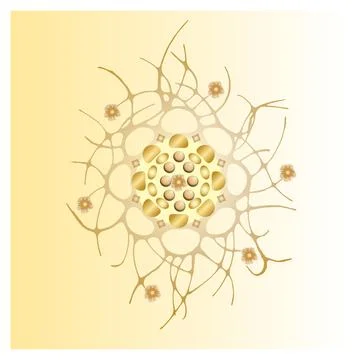 Polar ornament pattern, lace. Stock Illustration
