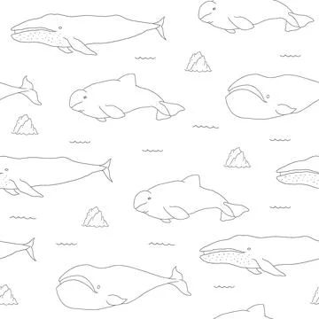 Polar sea animals seamless pattern. Cute Cartoon arctic animals, marine anima 스톡 일러스트