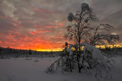 Polar sunset Foto stock