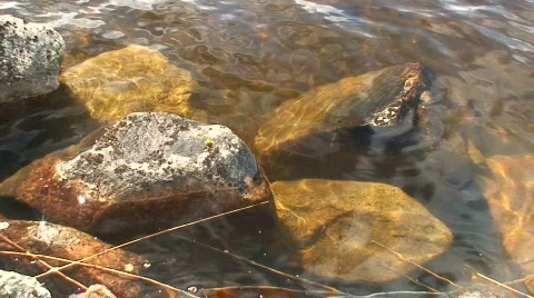 Polarizing filter effect Stock Footage 129183