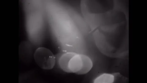 A Polaroid camera commercial from 1964 featuring a symphonic orchestra. Stock Footage 169013151