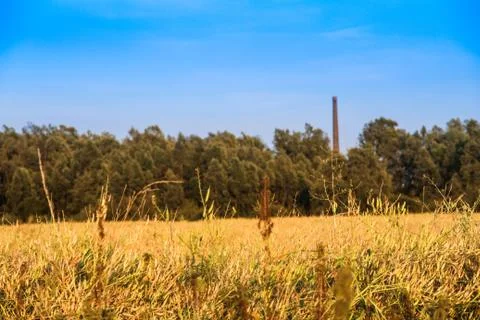 Polder landscape in the Netherlands Stock Photos