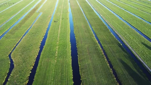 Polders Stock Footage 247042343