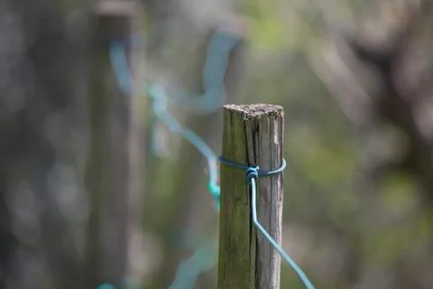 Pole in an empty vineyard Stock Photos
