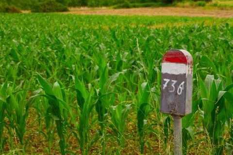 Pole in the field Stock Photos