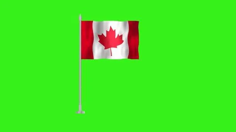 Pole Flag of Canada, Canada Pole flag waving in the wind on Green Backgroun.. Stock Illustration