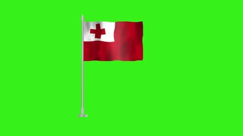 Pole Flag of Tonga, Flag of Tonga, Tonga Pole flag waving in the wind on Gr.. Illustrazione stock
