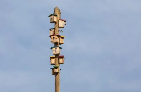 Pole with many bird boxes atached Stock Photos