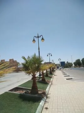 The pole with palm tree Stock Photos
