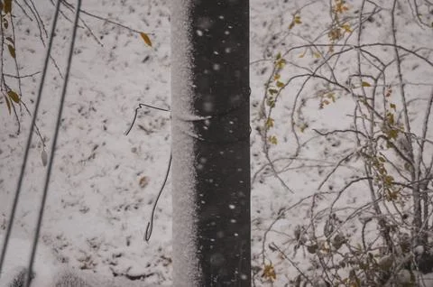 A pole with a wire on it is covered in snow.  Stock Photos