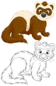 Polecat Stock Illustration