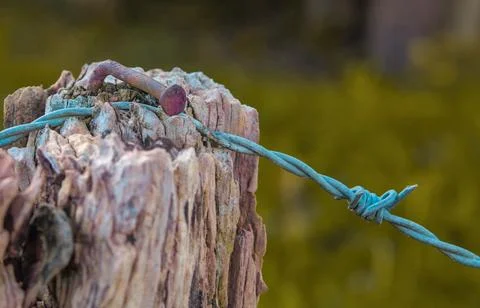 Poles with barbed wire Stock Photos