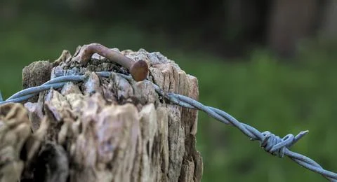 Poles with barbed wire Stock Photos