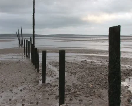 Poles on beach when tide is out Video stock 10607033